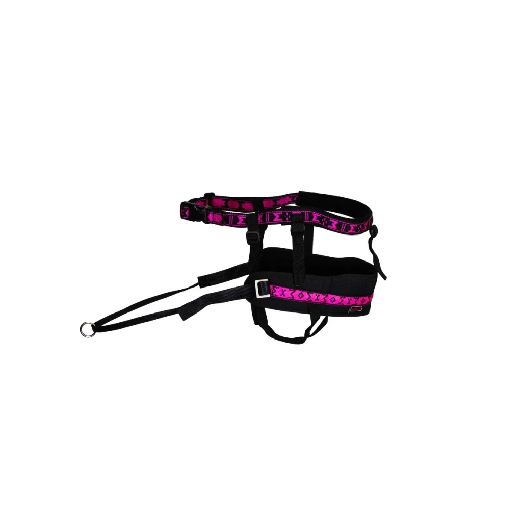 Manmat  Race Pro Canicross Heupgordel diverse kleuren  – Ultralichte, Verstelbare Heupriem voor Actief Hardlopen met Honden, Getest door Topatleten